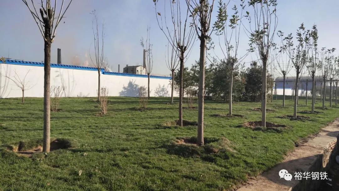 金秋蝶变！身为武安人，这条漂亮的道路你见过吗？